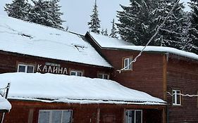 Калина